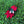 Load image into Gallery viewer, Beautiful red Sturt Desert Pea brooch on a green grassy background with a blue banded bee