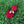 Load image into Gallery viewer, Fashionable Brooch of a Sturt Desert Pea Australian Native flower with a yellow honey bee on top.