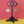 Load and play video in Gallery viewer, Firefly glow in the dark video