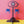 Load and play video in Gallery viewer, Blue Swimmer Crab Video Jiggle