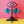 Load and play video in Gallery viewer, Peacock tail wiggle video