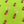 Load image into Gallery viewer, Cute ghost studs
