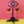 Load and play video in Gallery viewer, Vampire crab Carnival Crab video