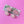 Load image into Gallery viewer, Blush pink pearl shell inspired earrings, everyday wear jewellery