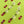 Load image into Gallery viewer, Cute dangle ghost earrings stealing pink candy