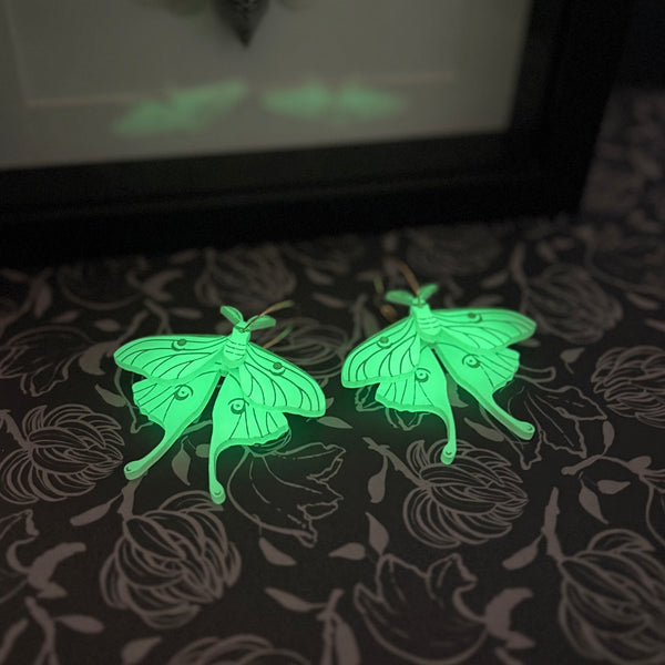 Luna Moth Glow-in-the-dark