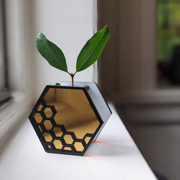 Handmade laser cut acrylic planter vase honeybee hexagon design